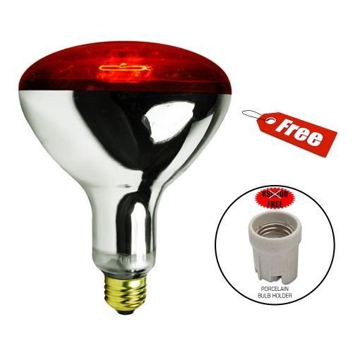 infrared bulb for heat lamp